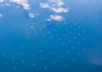 Forschungsprojekt EuroWindWakes